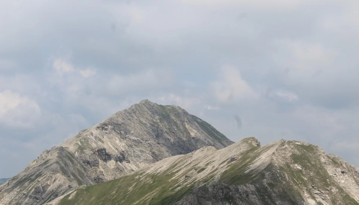 Schellschlicht | © Schellschlicht