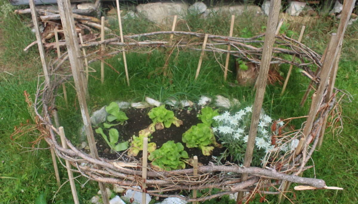 Schellschlicht | © Schellschlicht