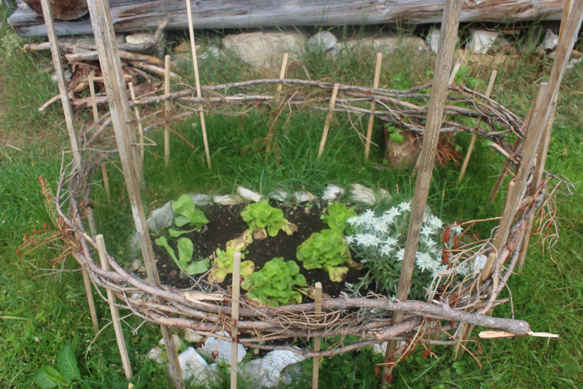 Schellschlicht | © Schellschlicht