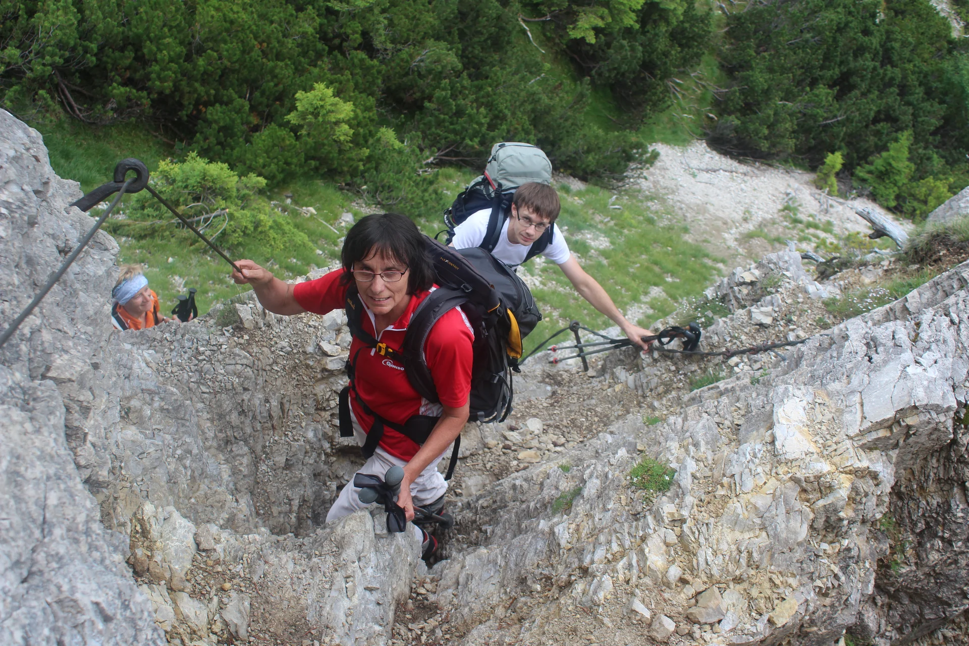 Schellschlicht | © Schellschlicht