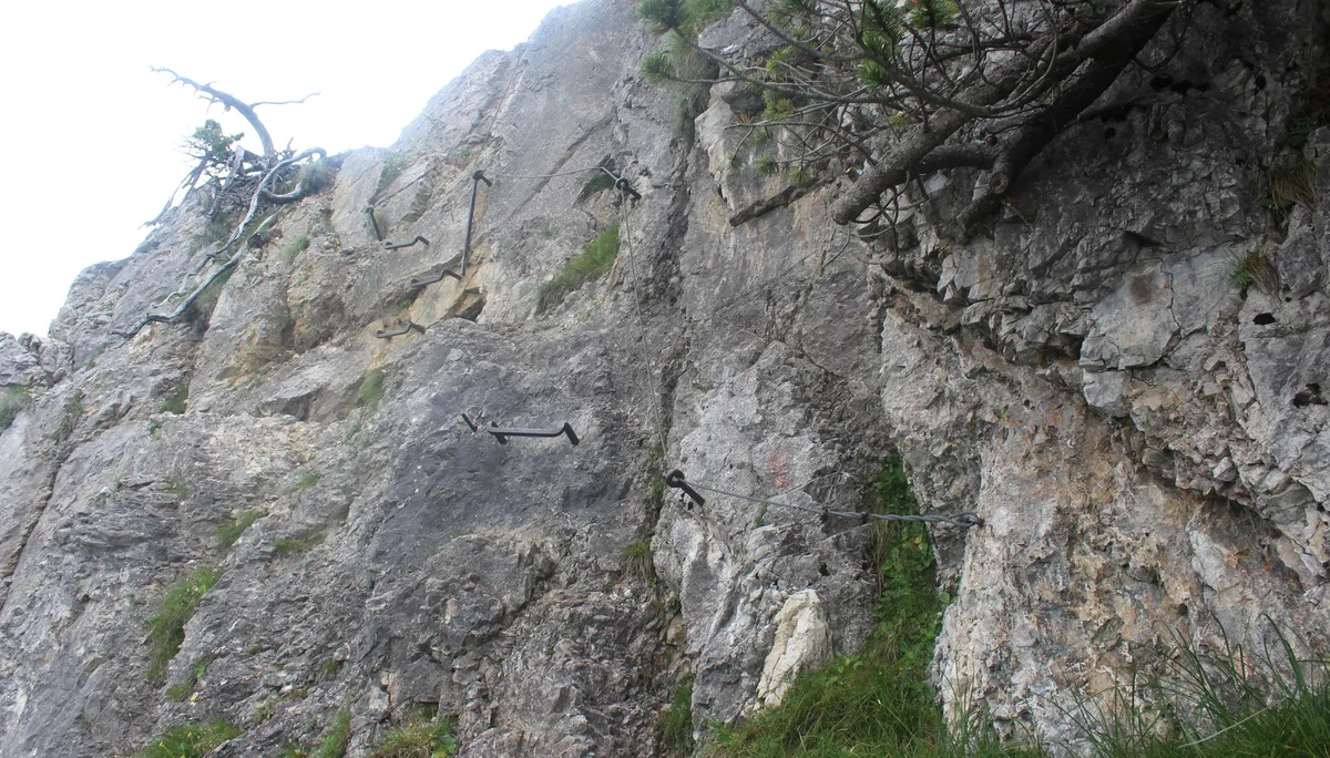 Schellschlicht | © Schellschlicht