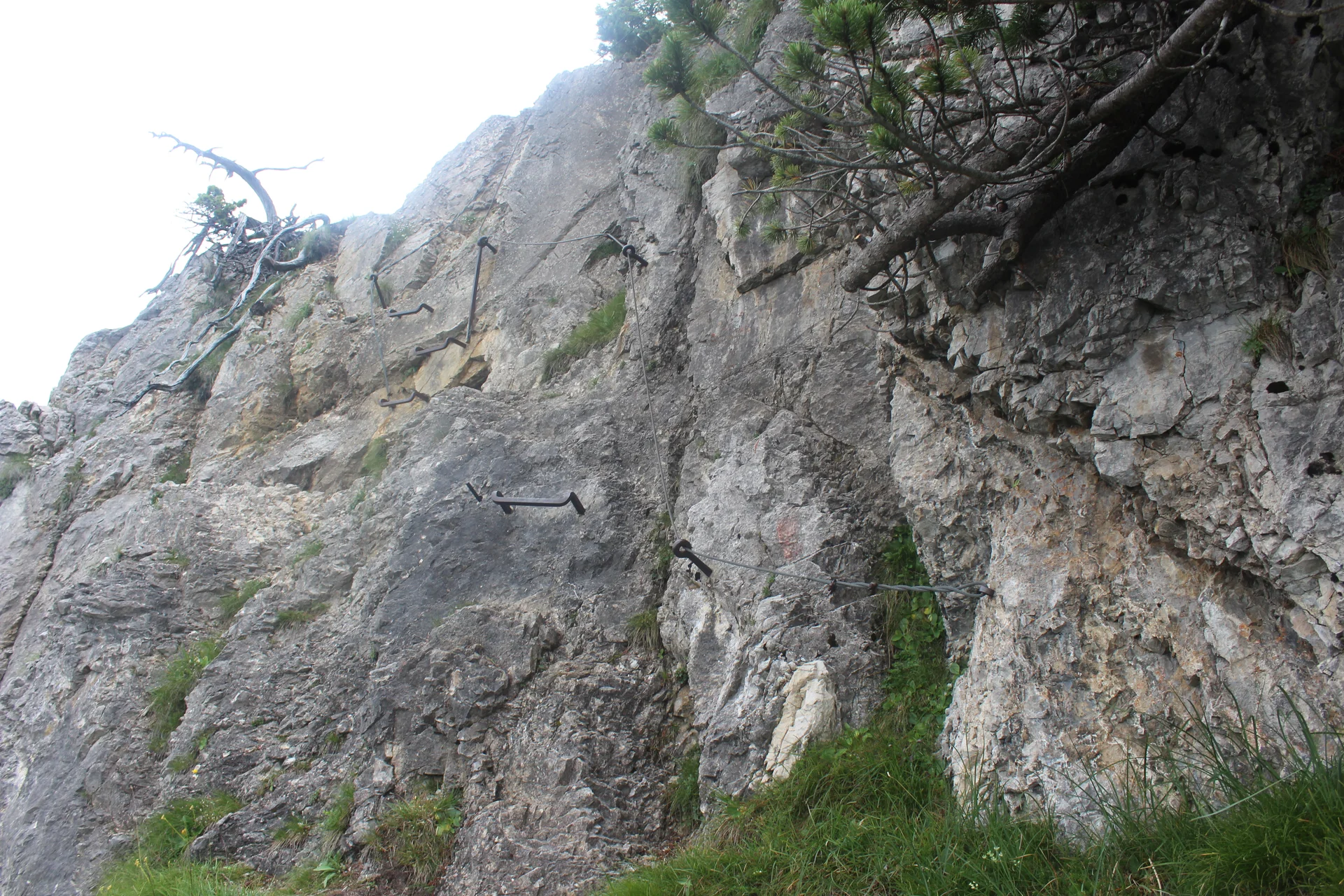 Schellschlicht | © Schellschlicht