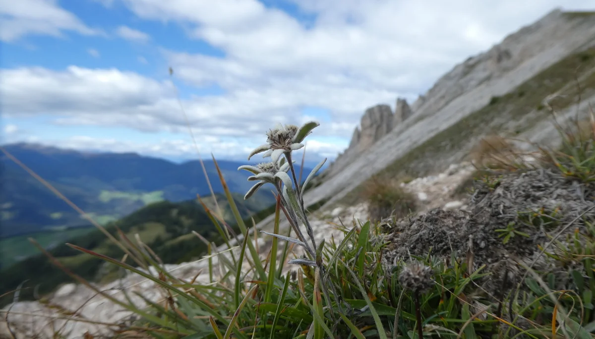 Wanderwoche | © Wanderwoche