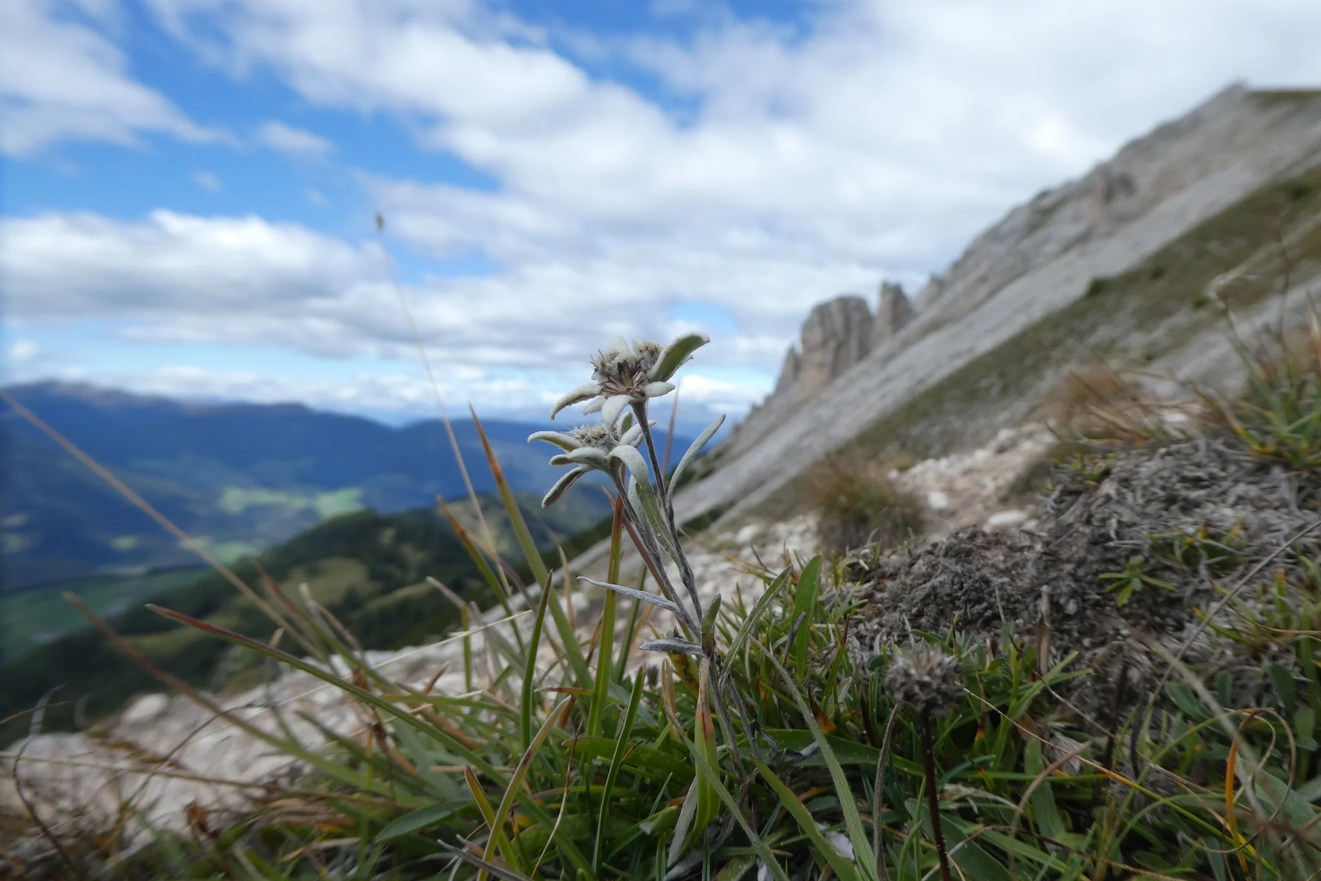 Wanderwoche | © Wanderwoche