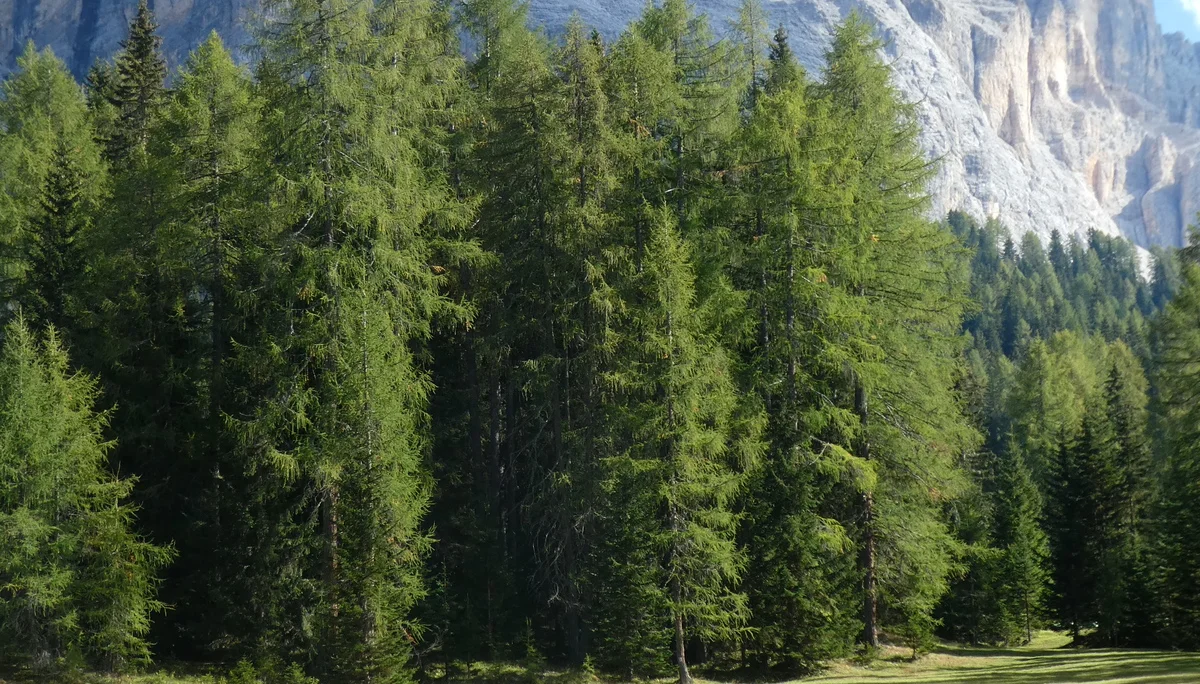 Wanderwoche | © Wanderwoche