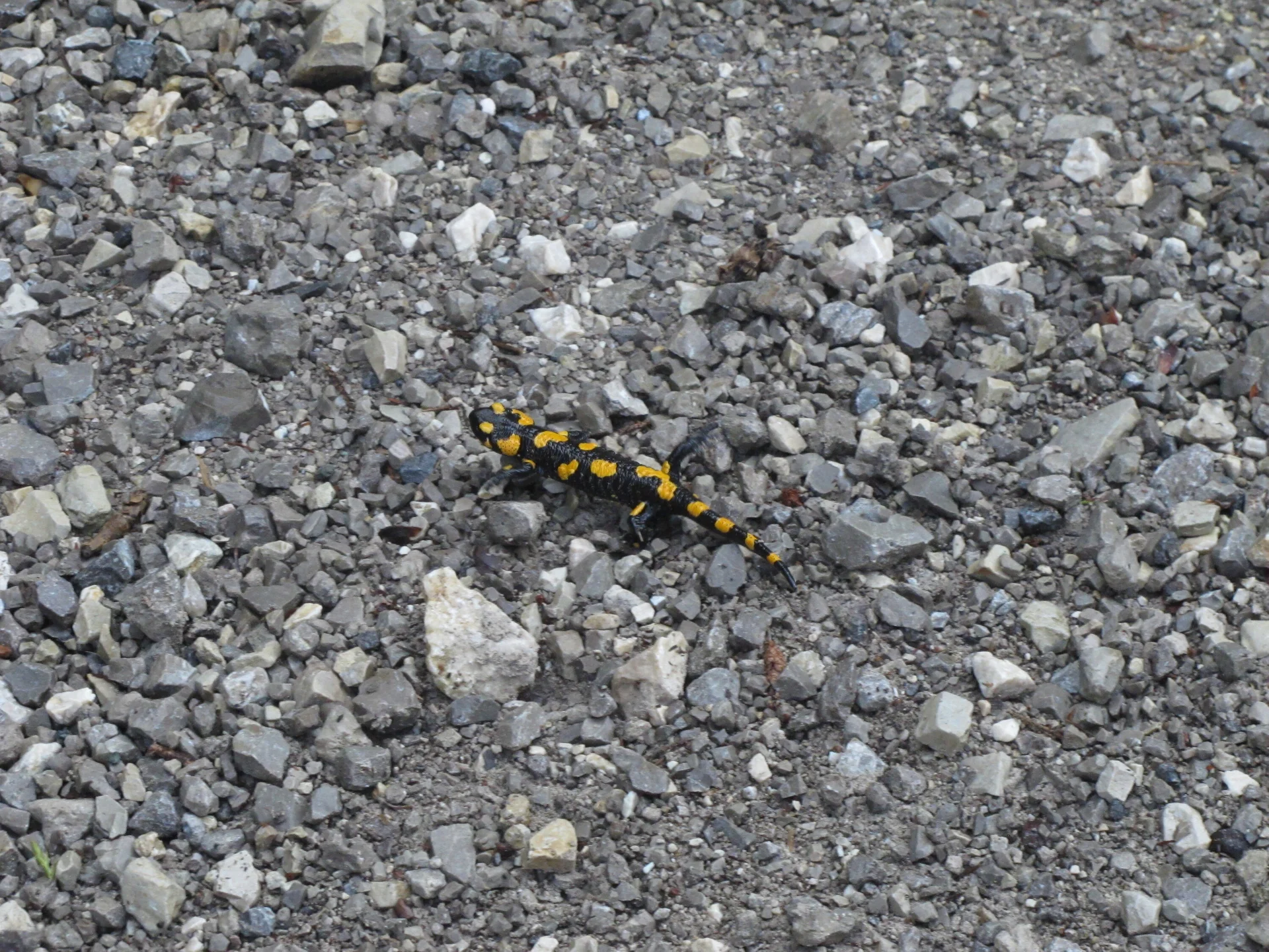 Wendelstein | © Wendelstein