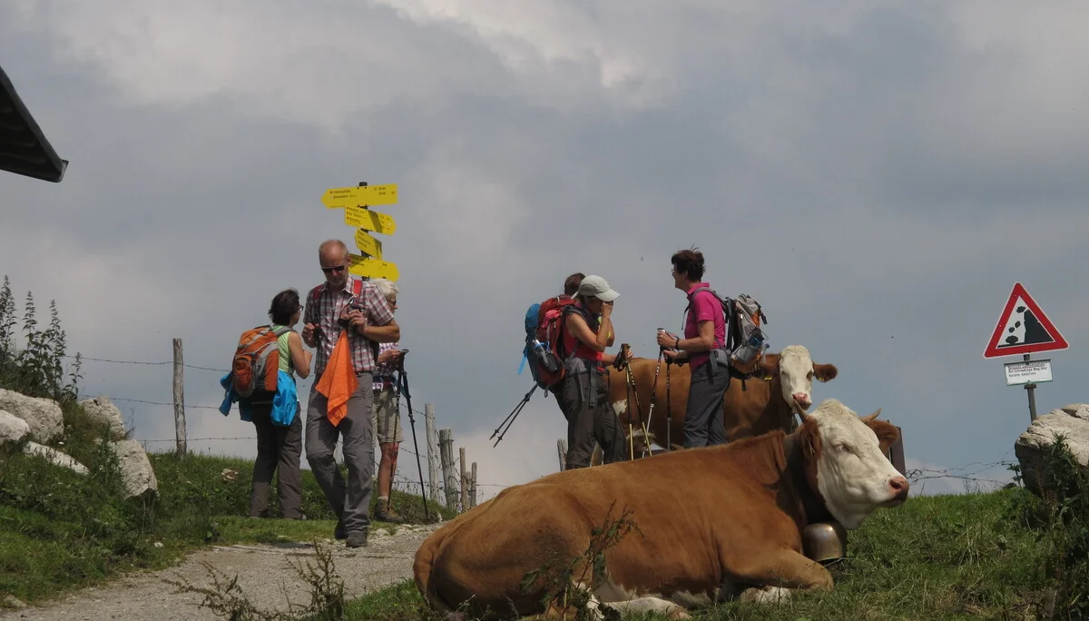 Wendelstein | © Wendelstein