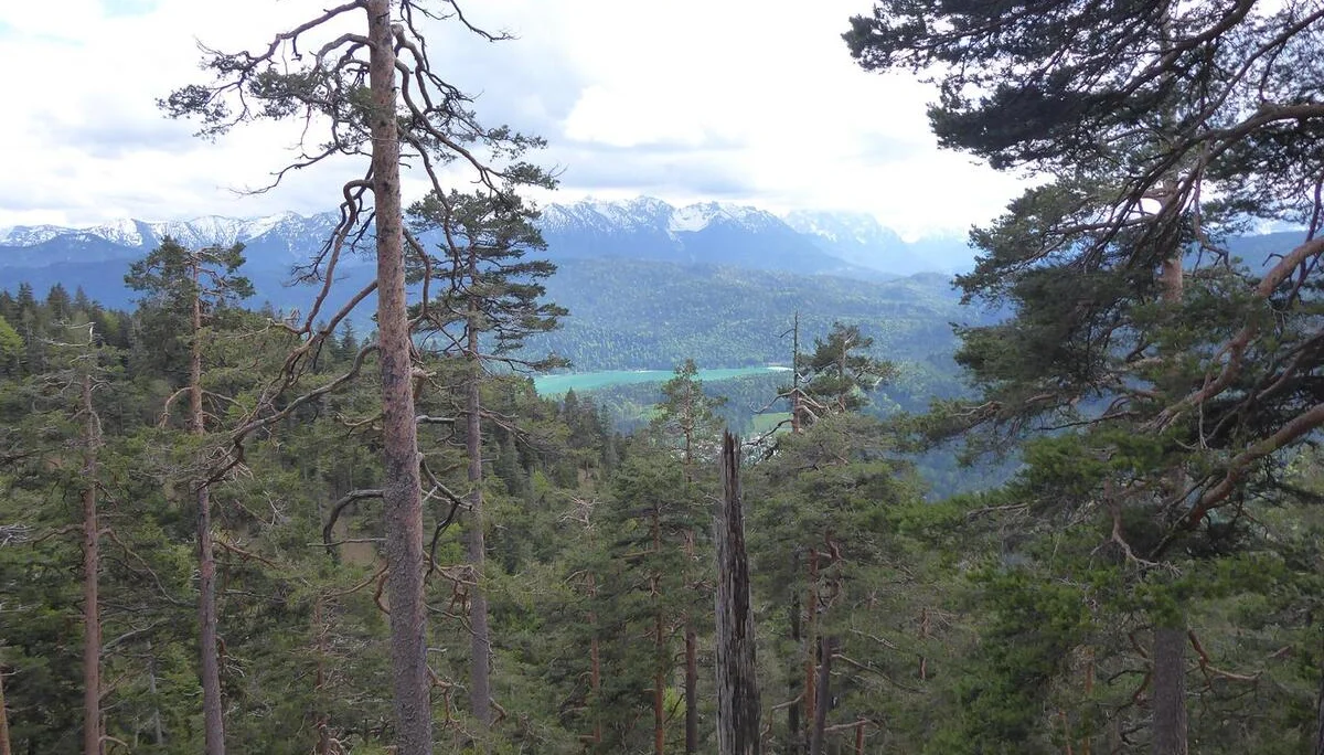 Heimgarten | © Heimgarten