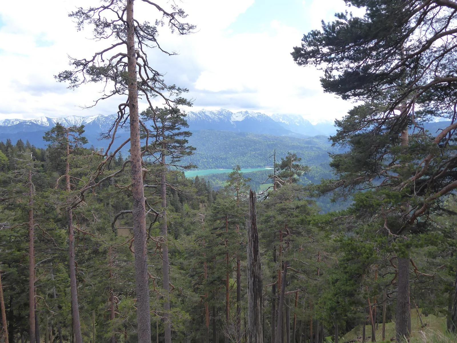 Heimgarten | © Heimgarten