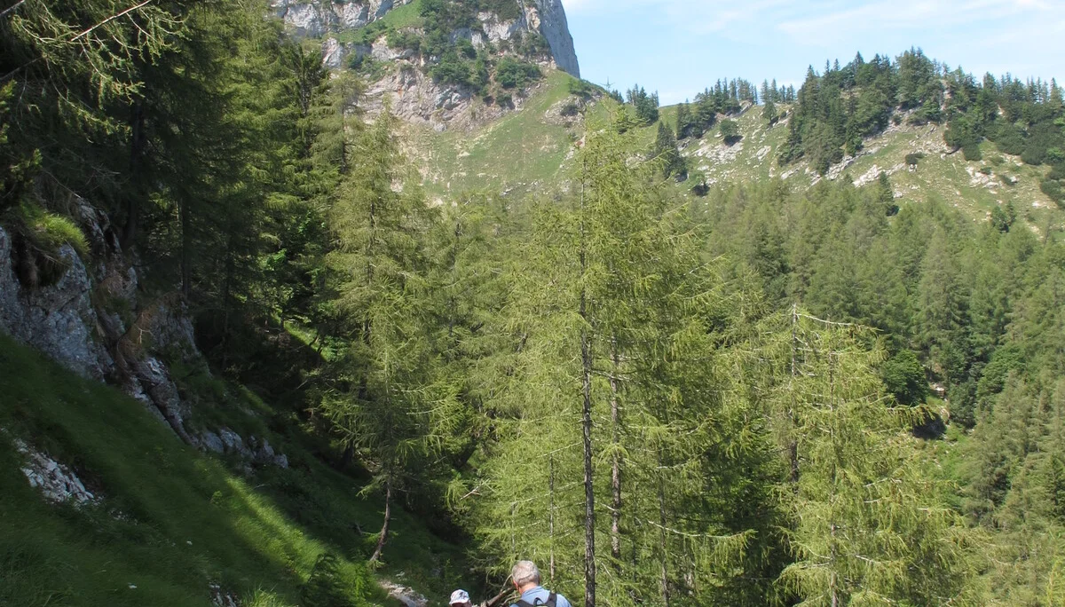 Schafberg | © Schafberg
