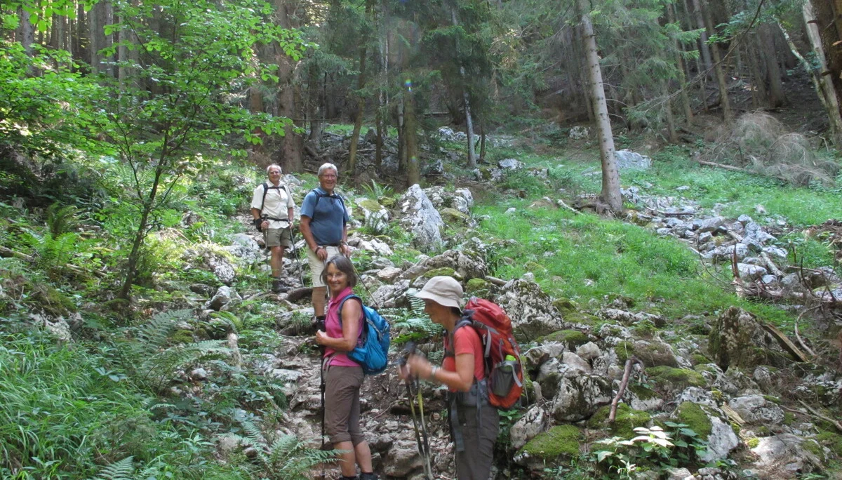 Schafberg | © Schafberg