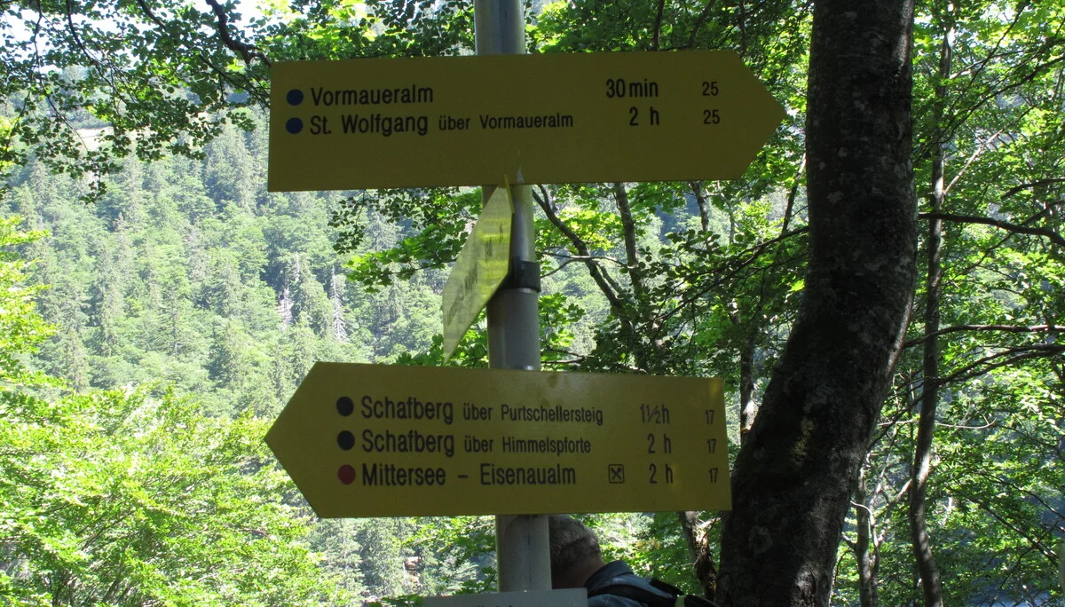 Schafberg | © Schafberg