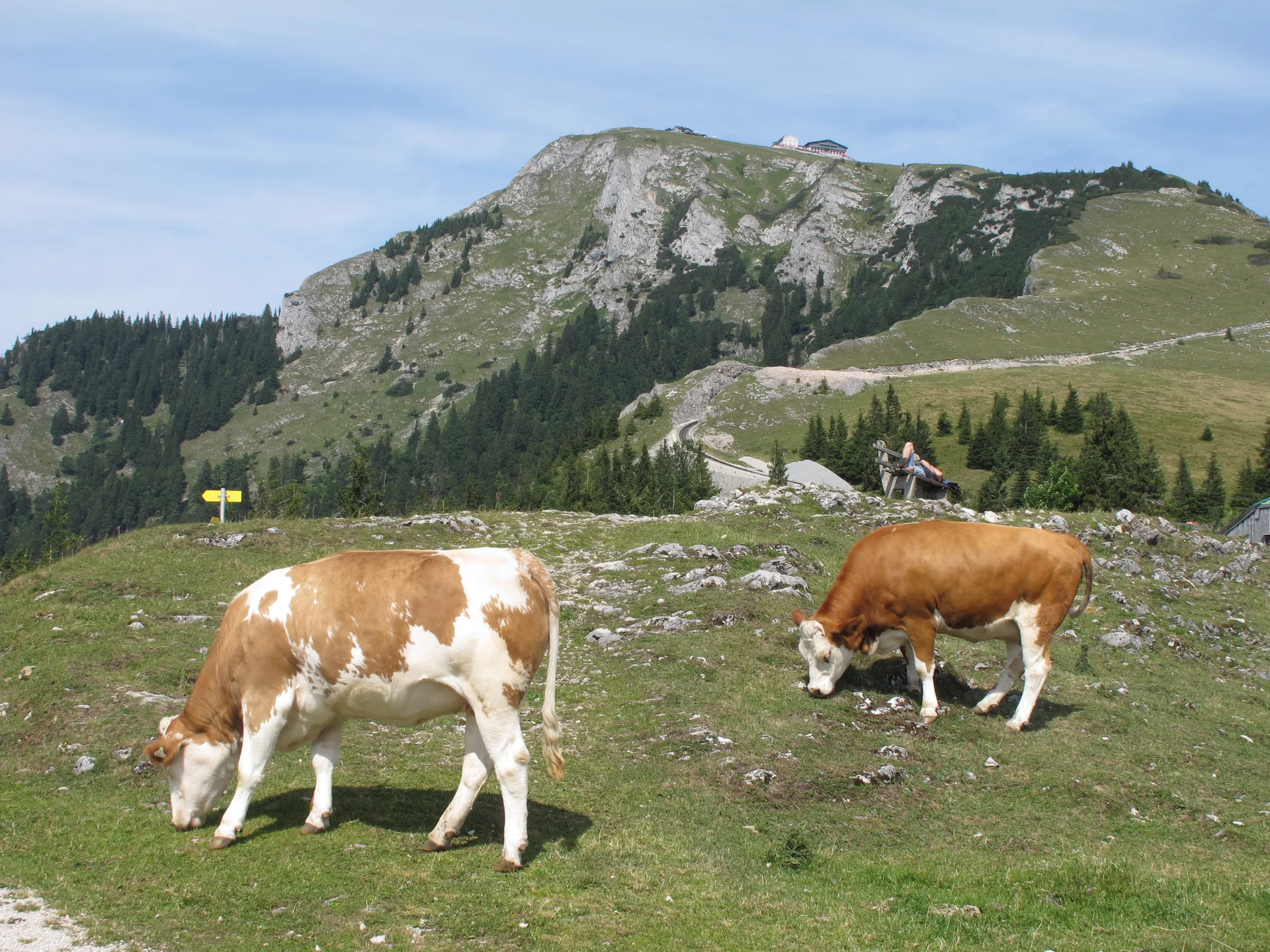 Schafberg | © Schafberg