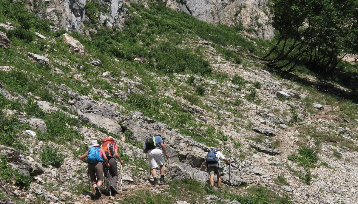 Schafberg | © Schafberg