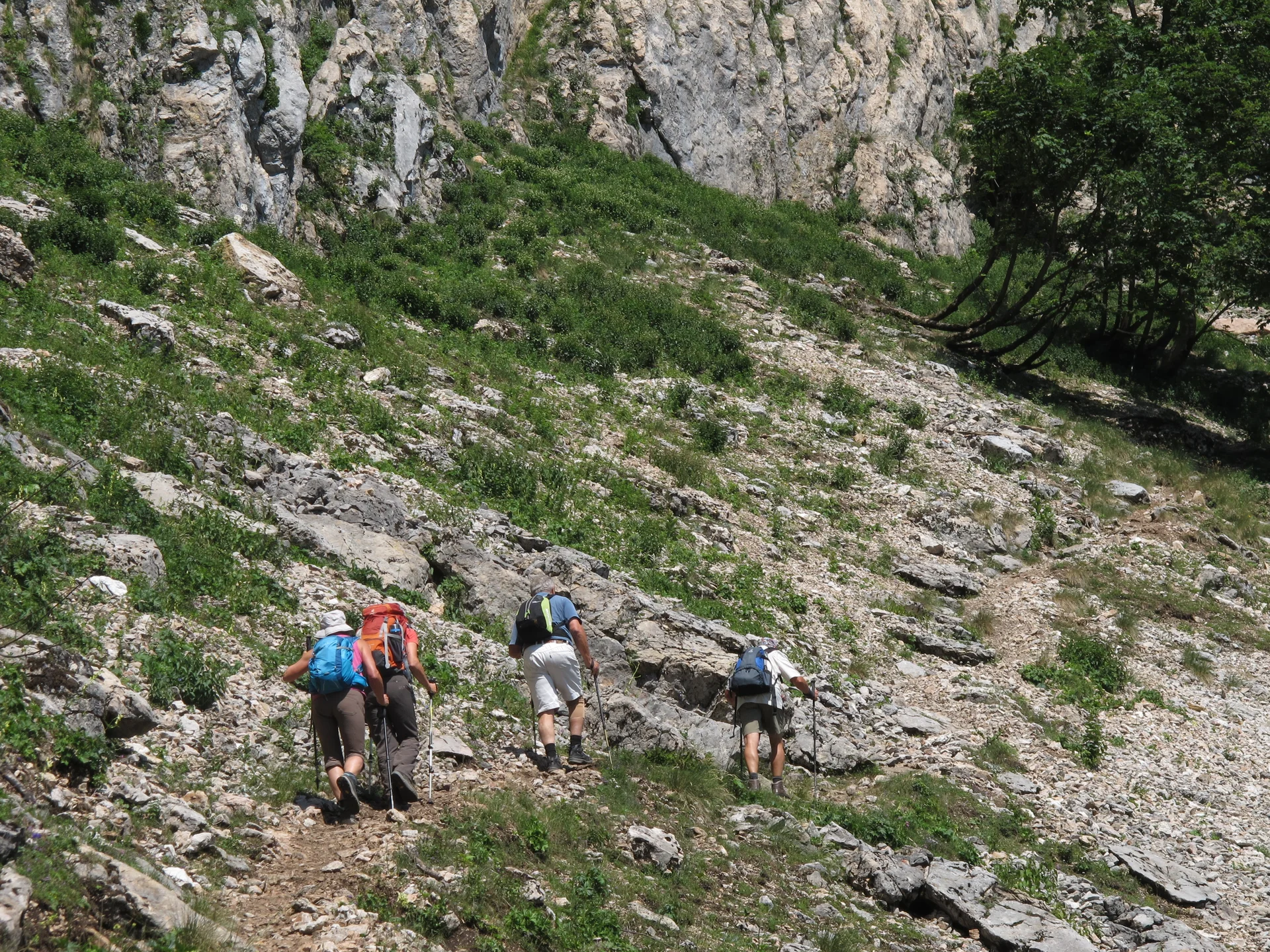 Schafberg | © Schafberg