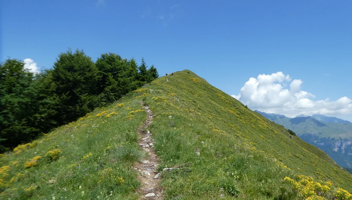 Wanderwoche | © Wanderwoche