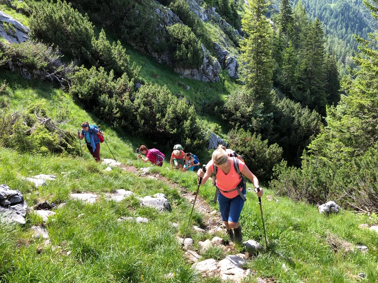 Hohes Brett | © Hohes Brett