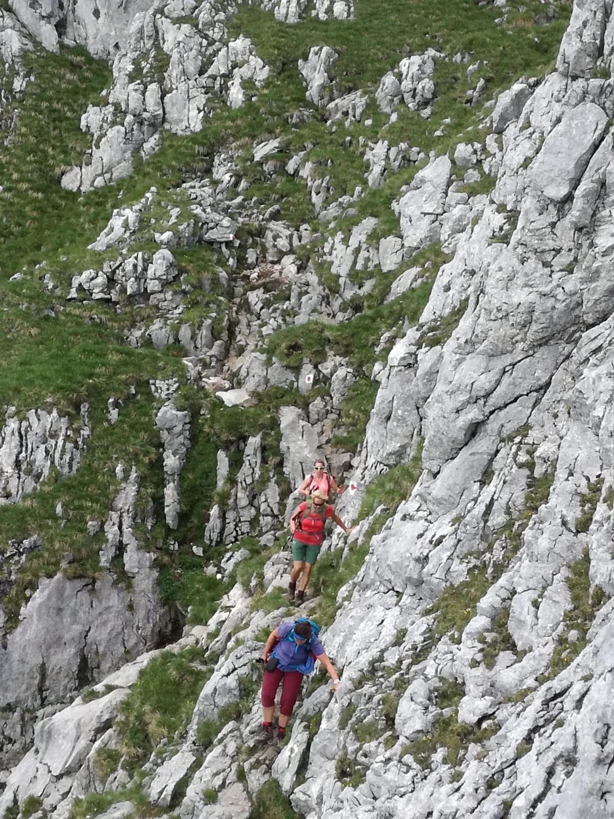 Hohes Brett | © Hohes Brett