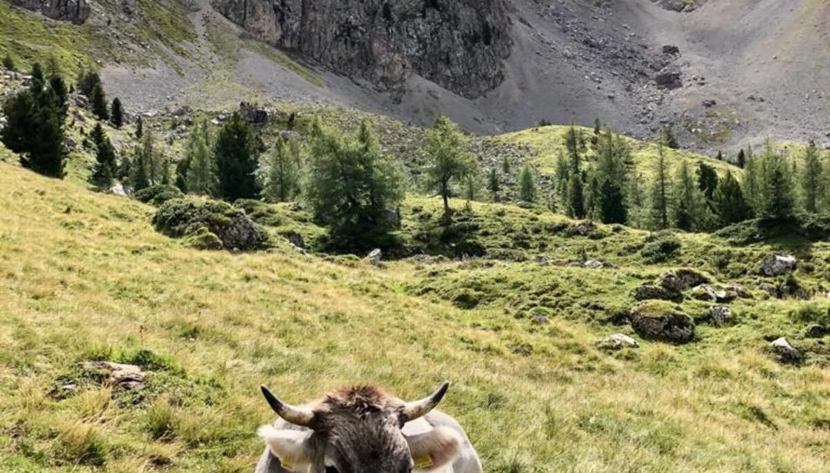 Wanderwoche | © Wanderwoche