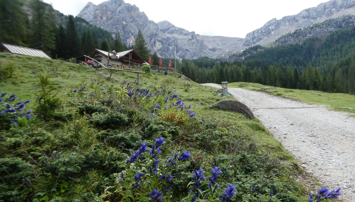 Wanderwoche | © Wanderwoche