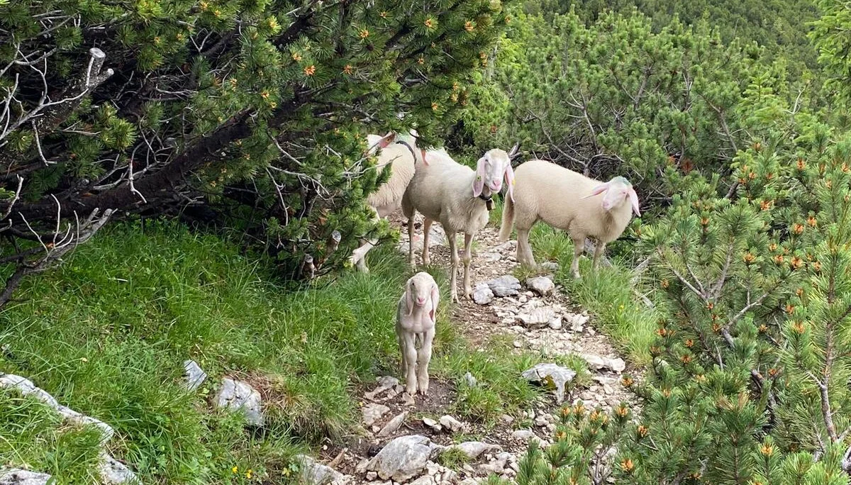 Girlsday | © Girlsday