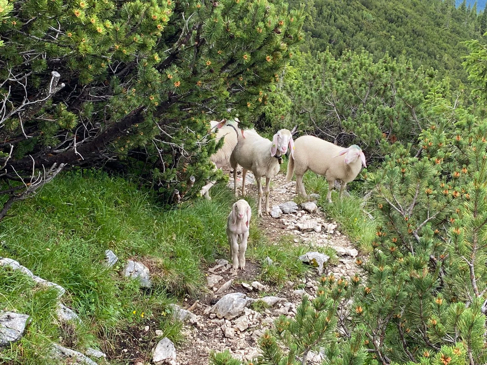 Girlsday | © Girlsday