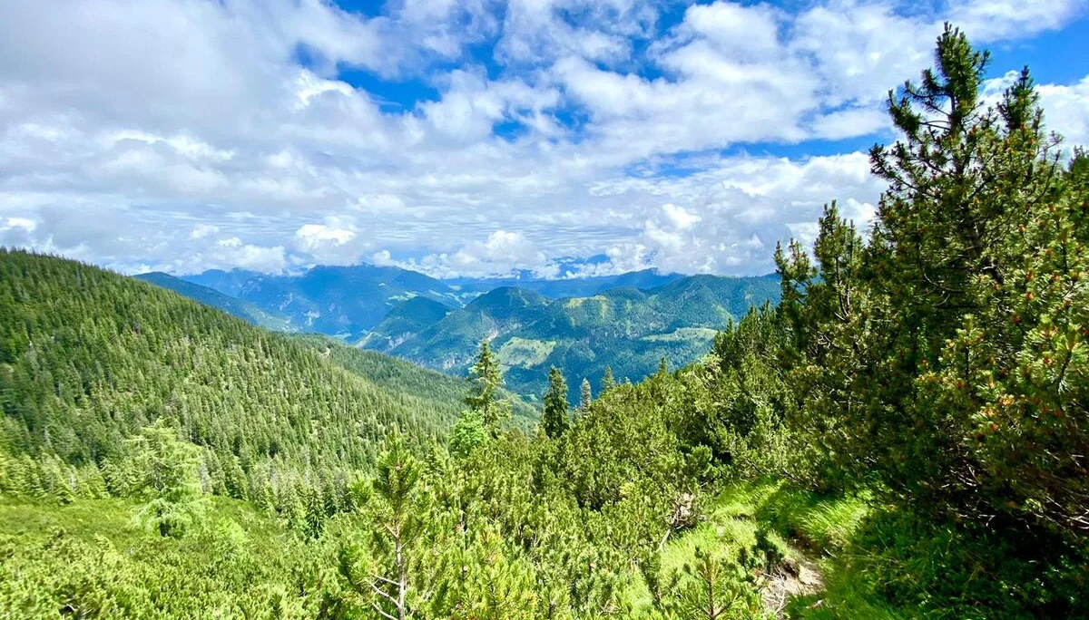 Girlsday | © Girlsday