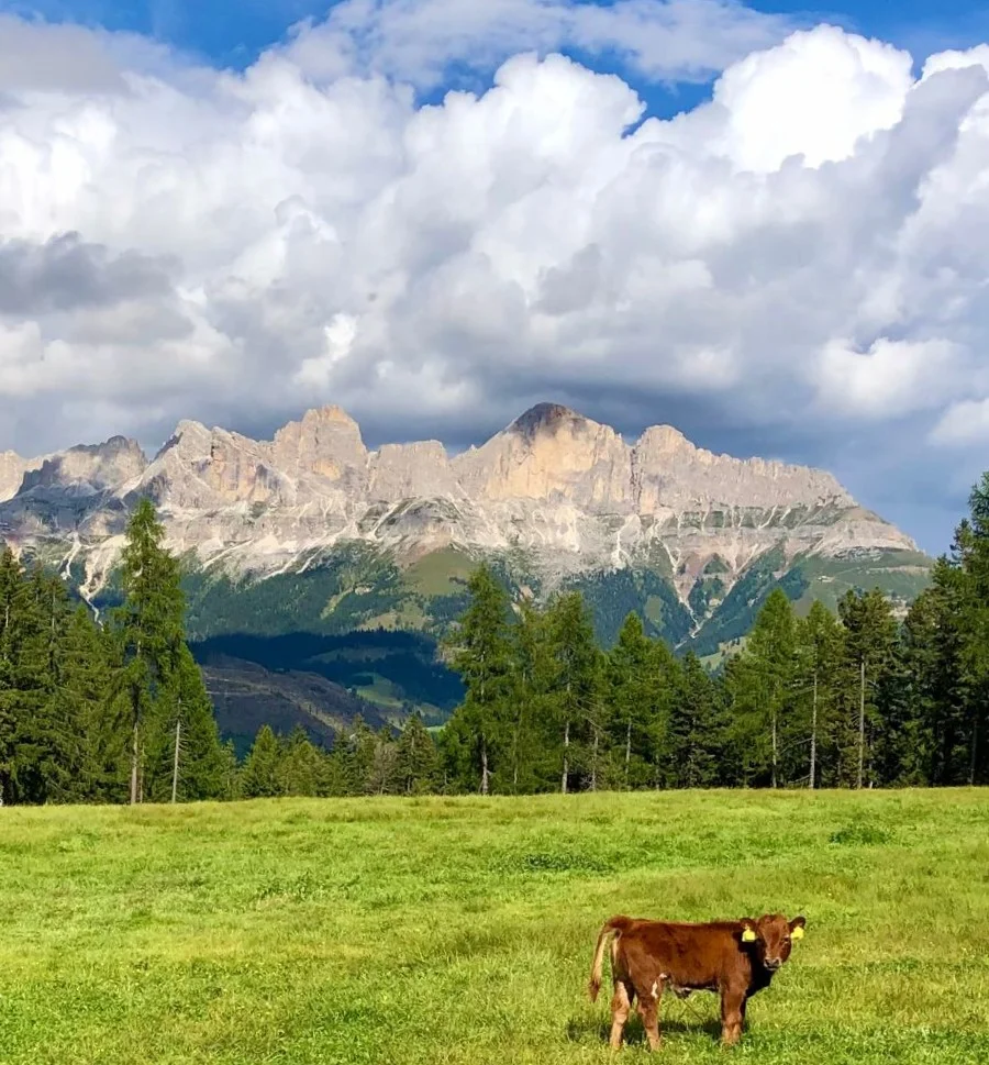 Wanderwoche | © Wanderwoche