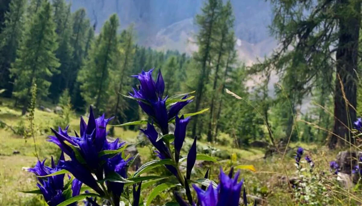 Wanderwoche | © Wanderwoche