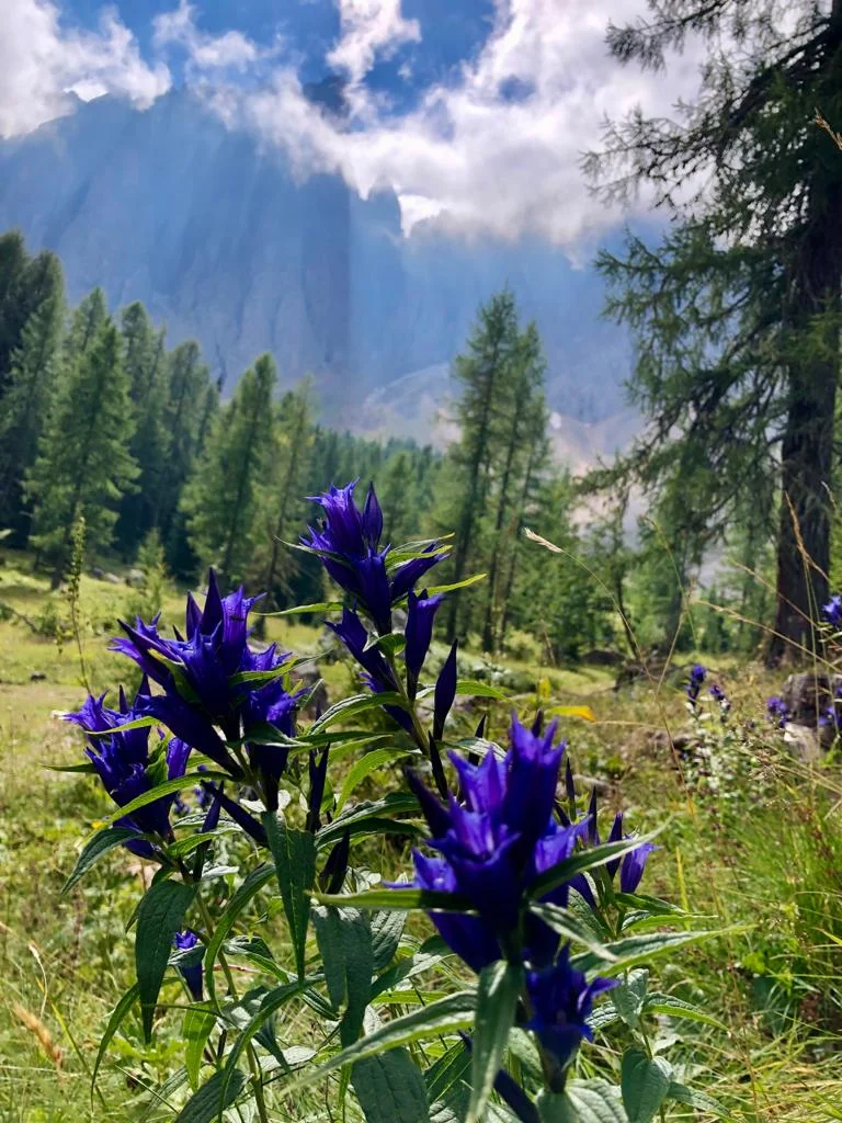 Wanderwoche | © Wanderwoche