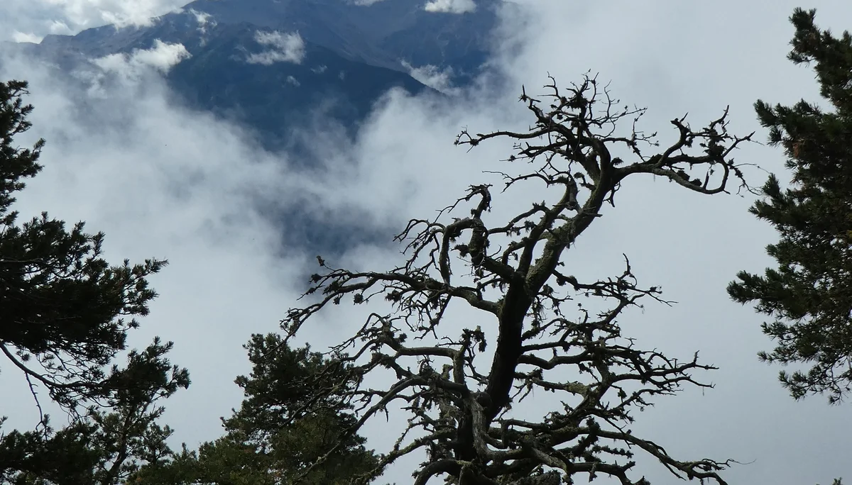 Wanderwoche | © Wanderwoche