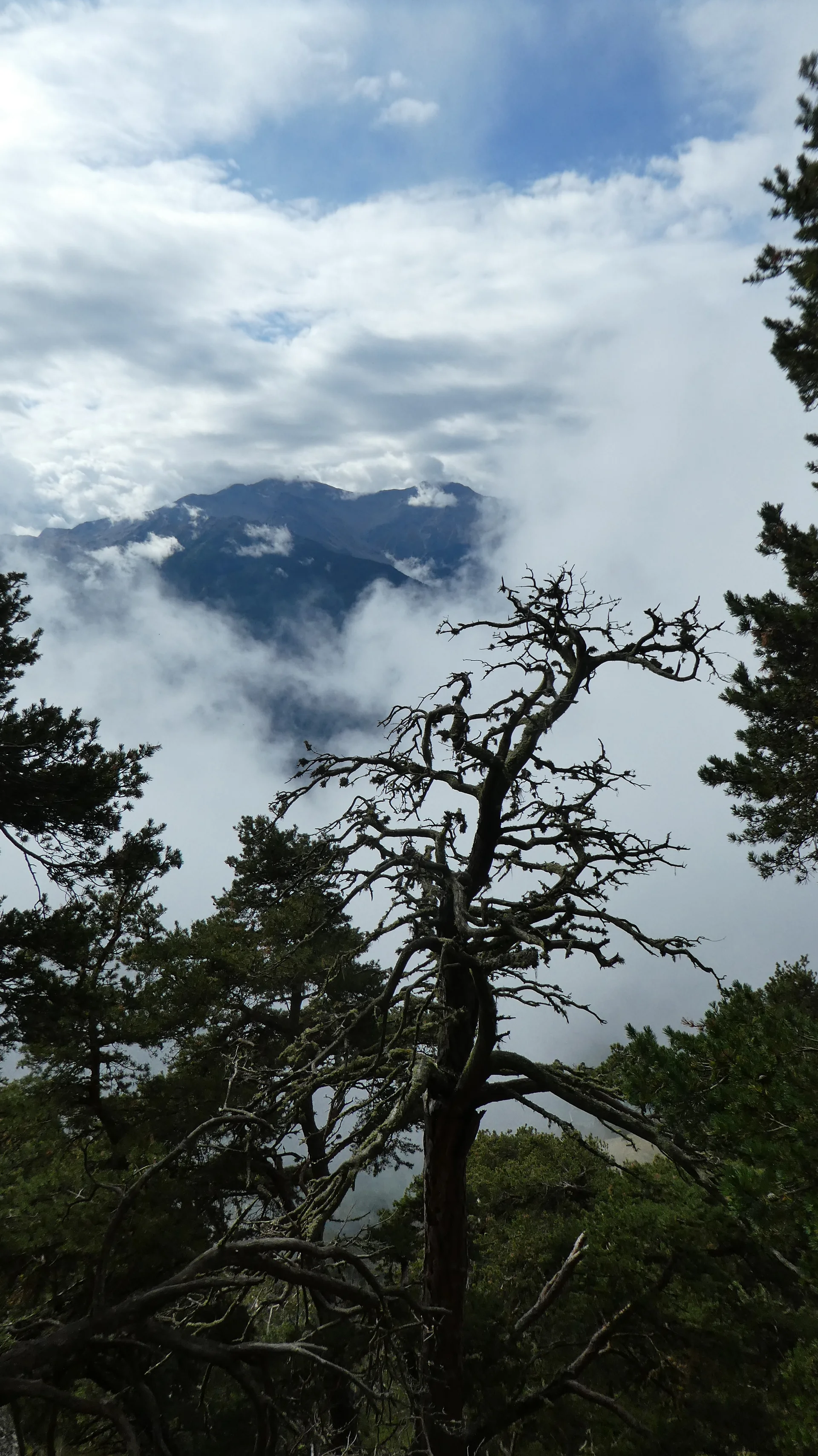 Wanderwoche | © Wanderwoche