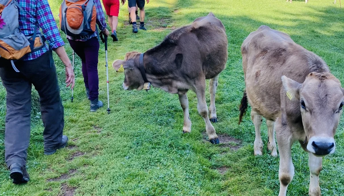 Wanderwoche | © Wanderwoche