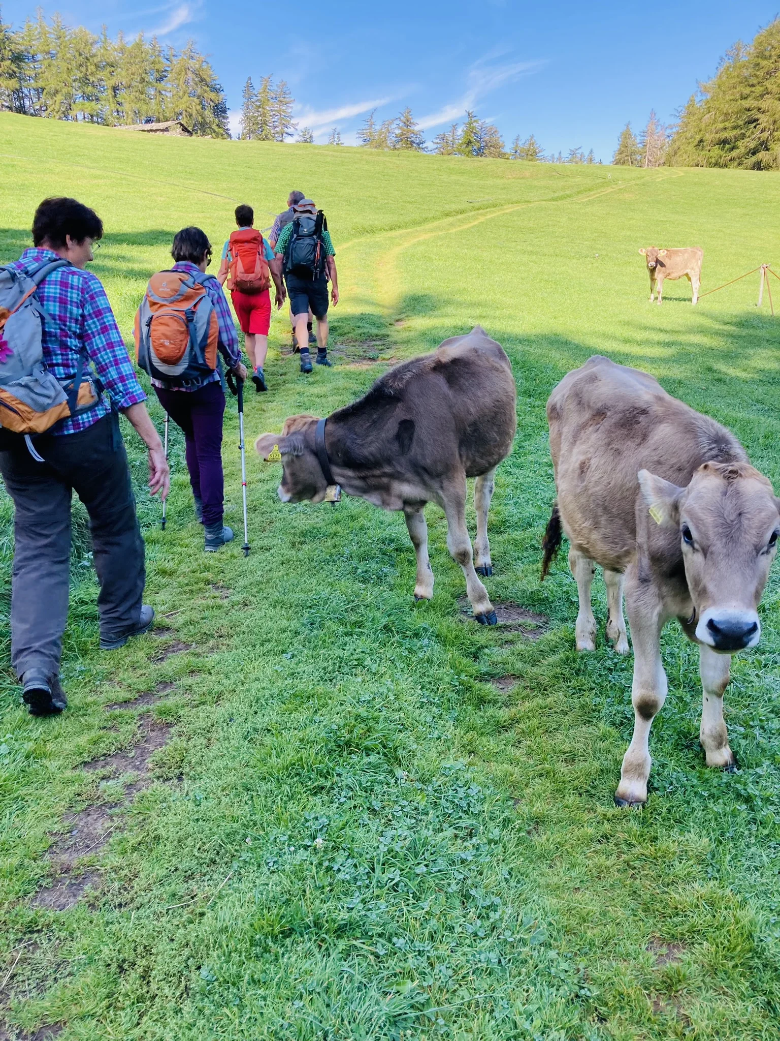 Wanderwoche | © Wanderwoche