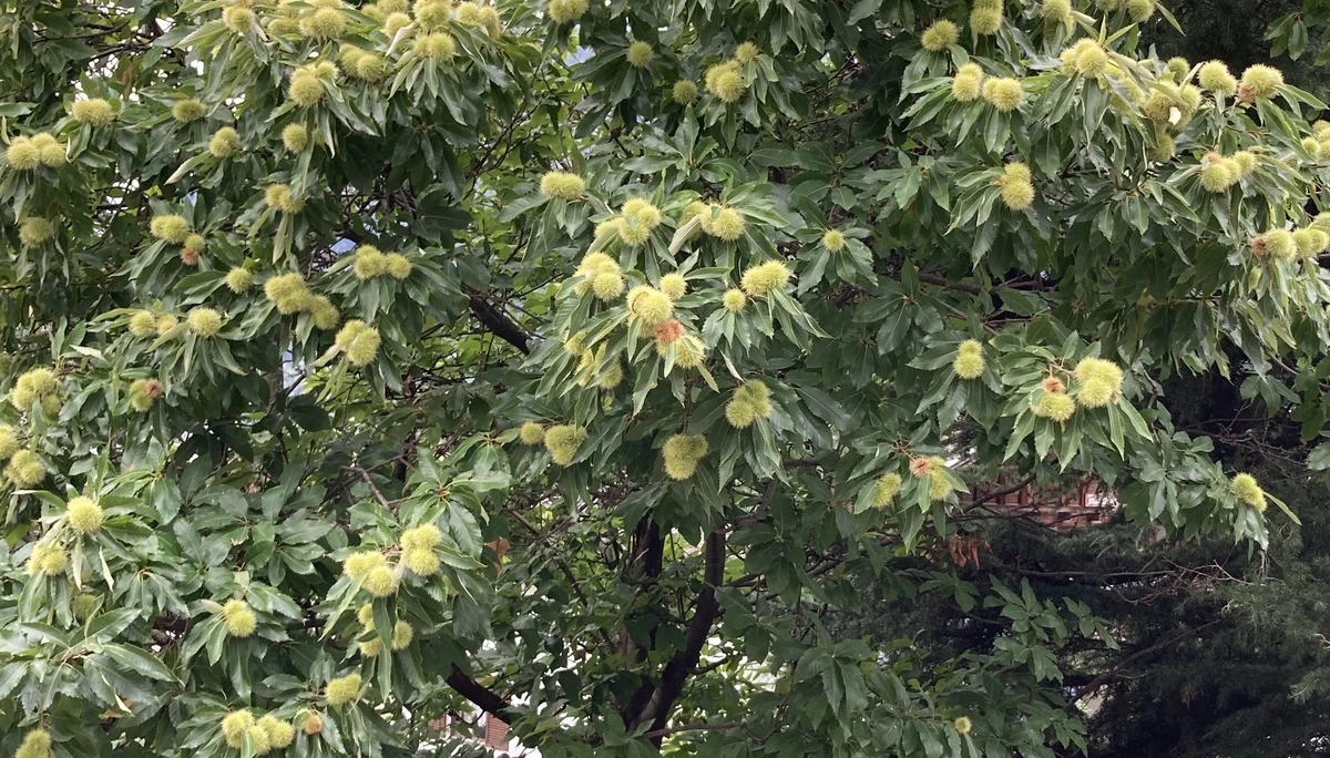 Wanderwoche | © Wanderwoche