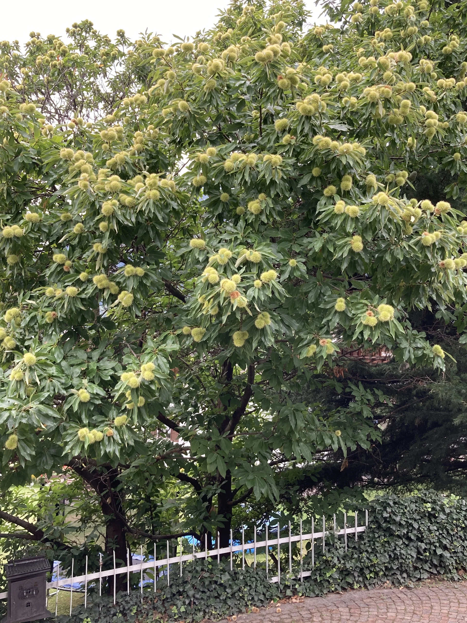 Wanderwoche | © Wanderwoche