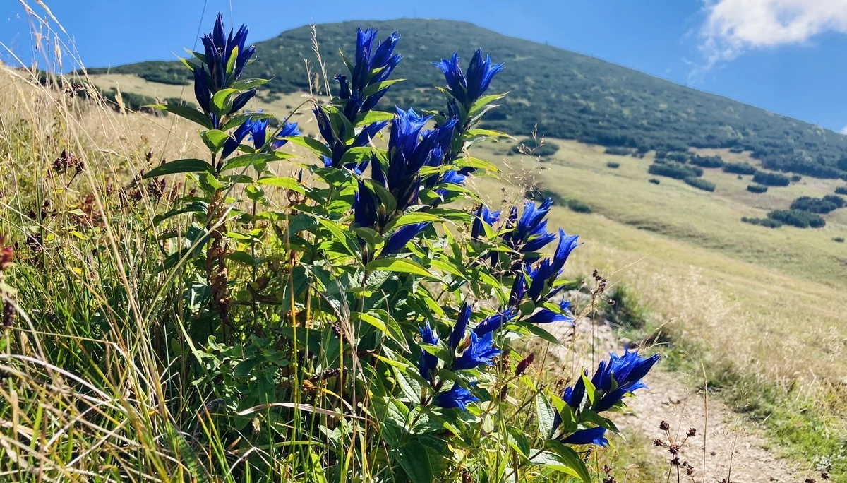 Geigelstein | © Killesreiter Marlene