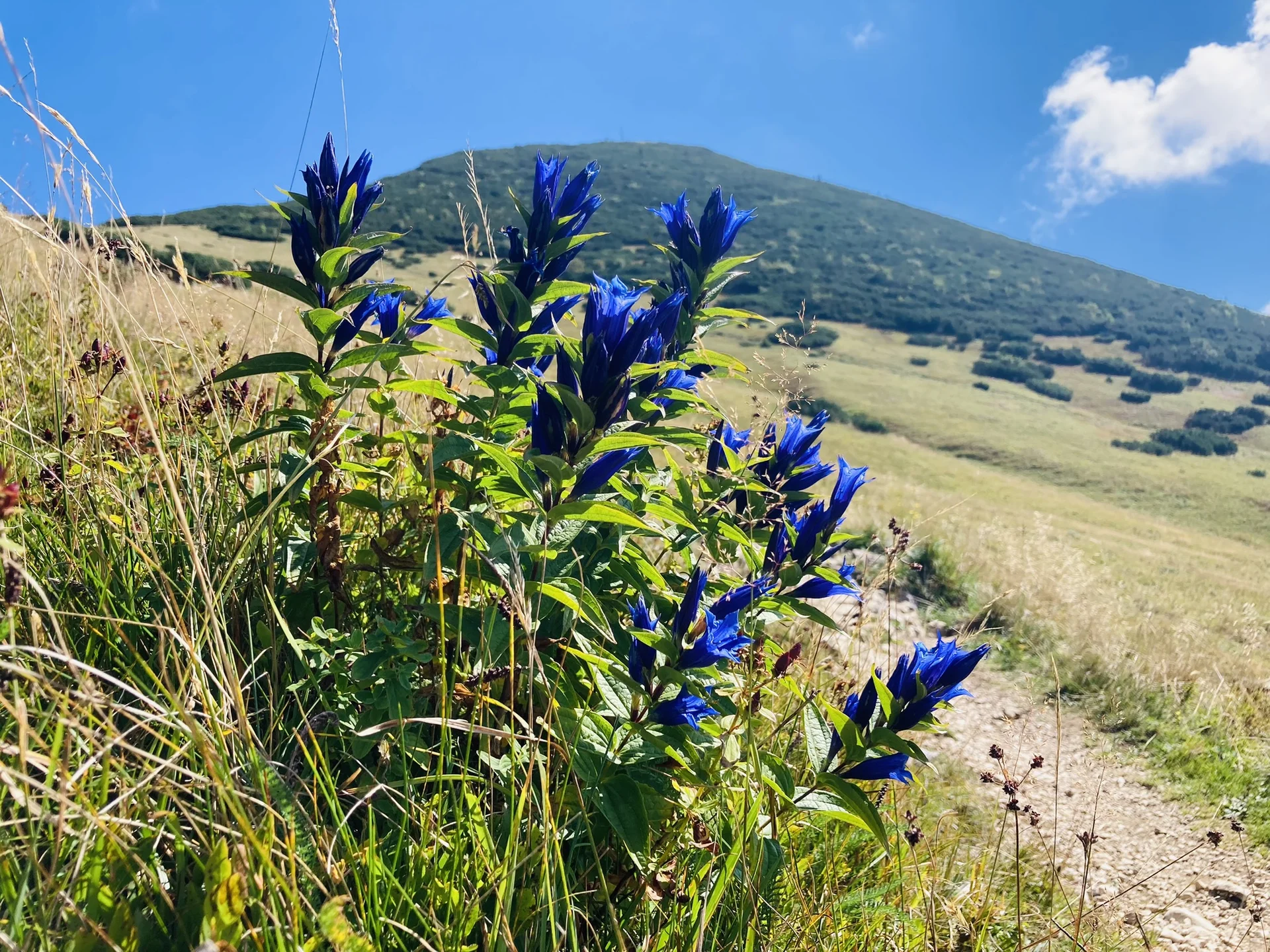 Geigelstein | © Killesreiter Marlene