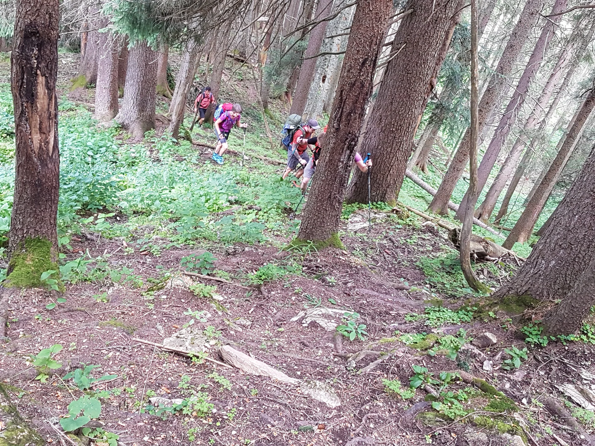 Parseierspitze | © Hartinger Manfred