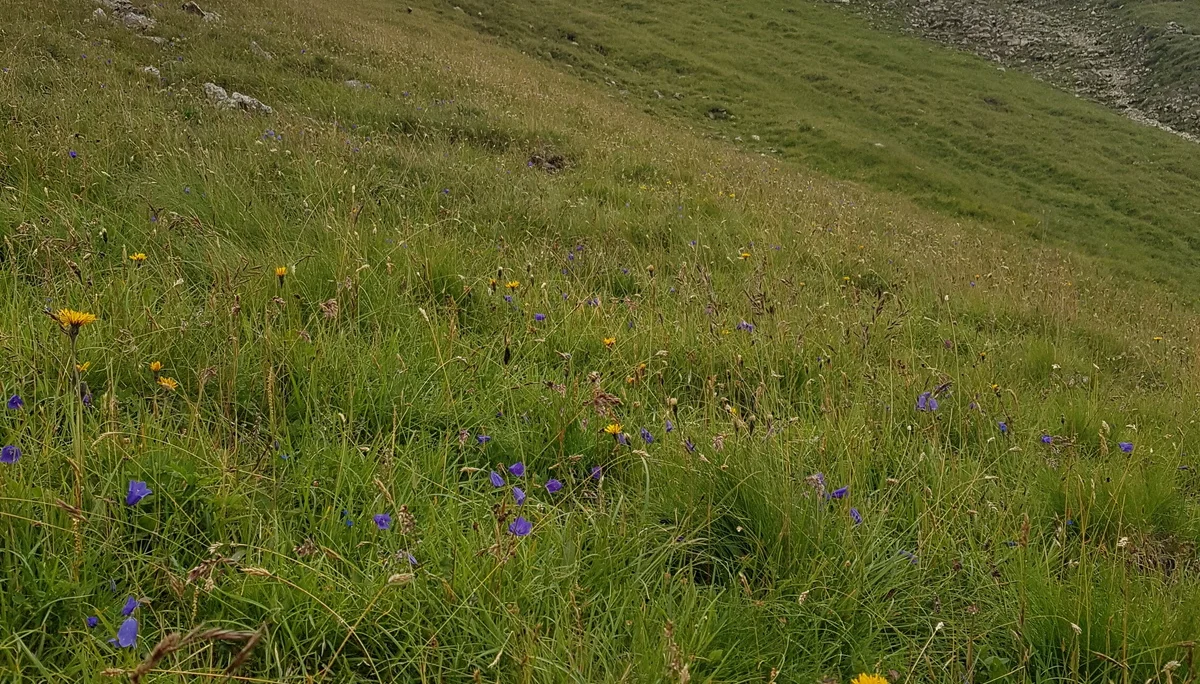 Parseierspitze | © Hartinger Manfred