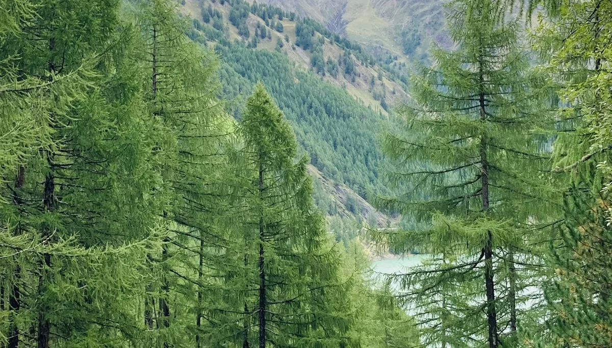 Wanderwoche im Schnalstal | © Killesreiter Marlene