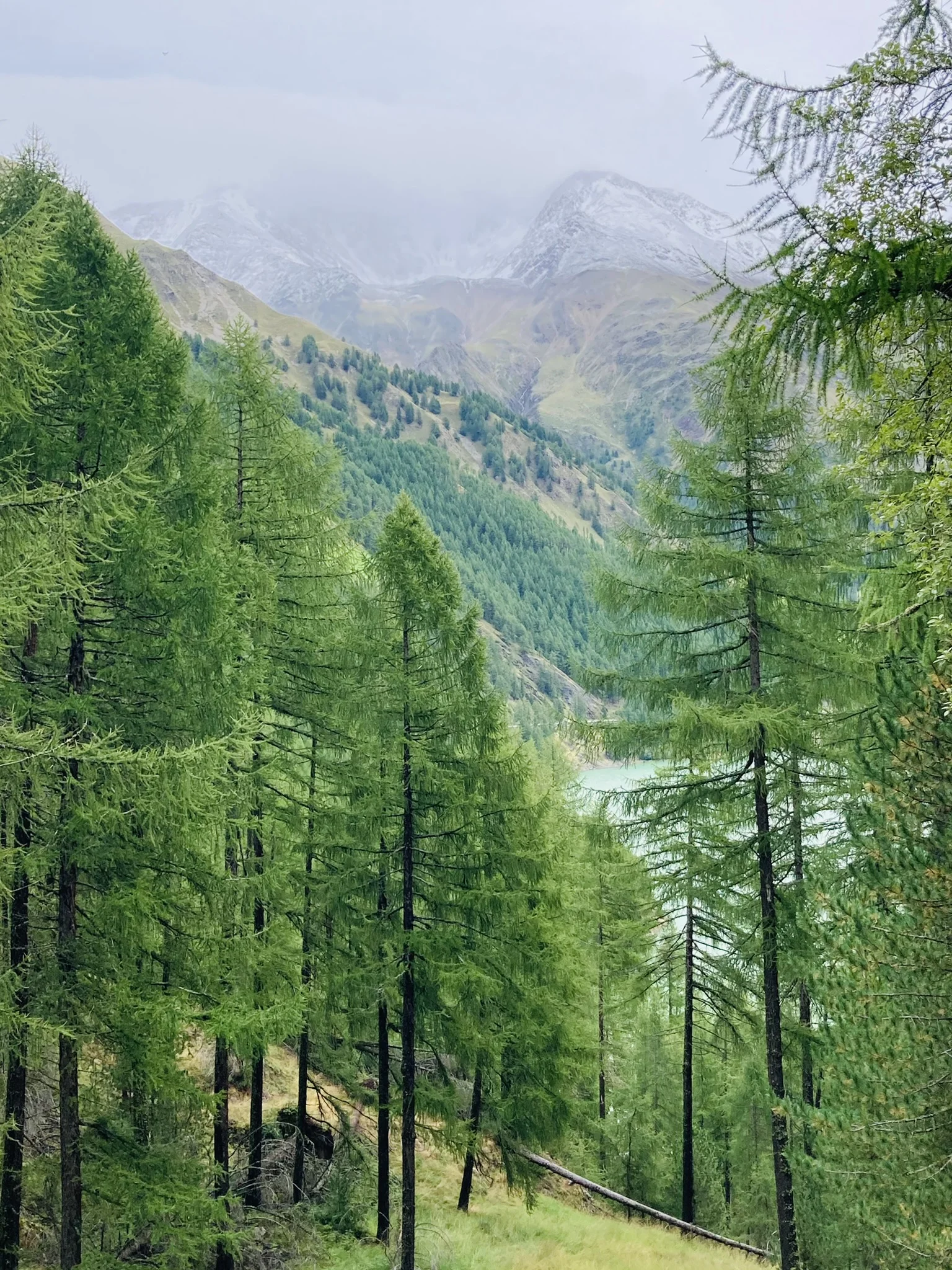 Wanderwoche im Schnalstal | © Killesreiter Marlene