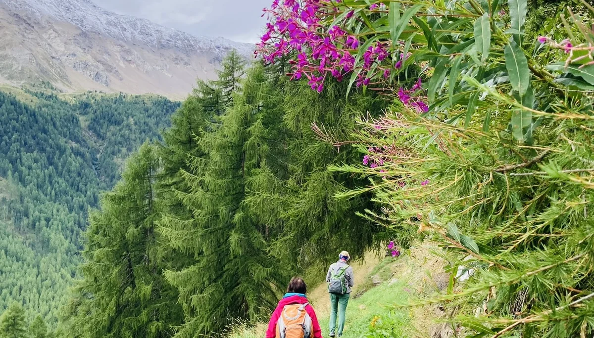 Wanderwoche im Schnalstal | © Killesreiter Marlene