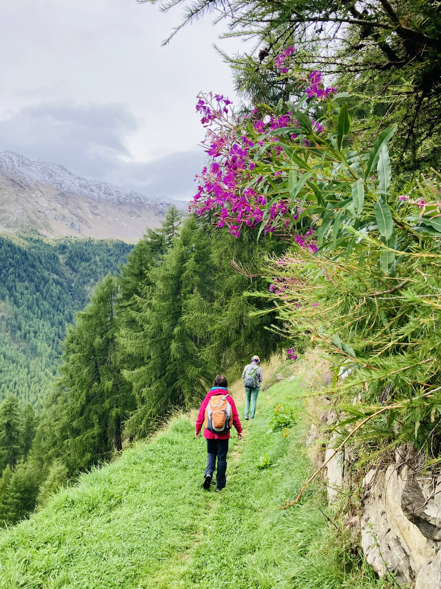 Wanderwoche im Schnalstal | © Killesreiter Marlene