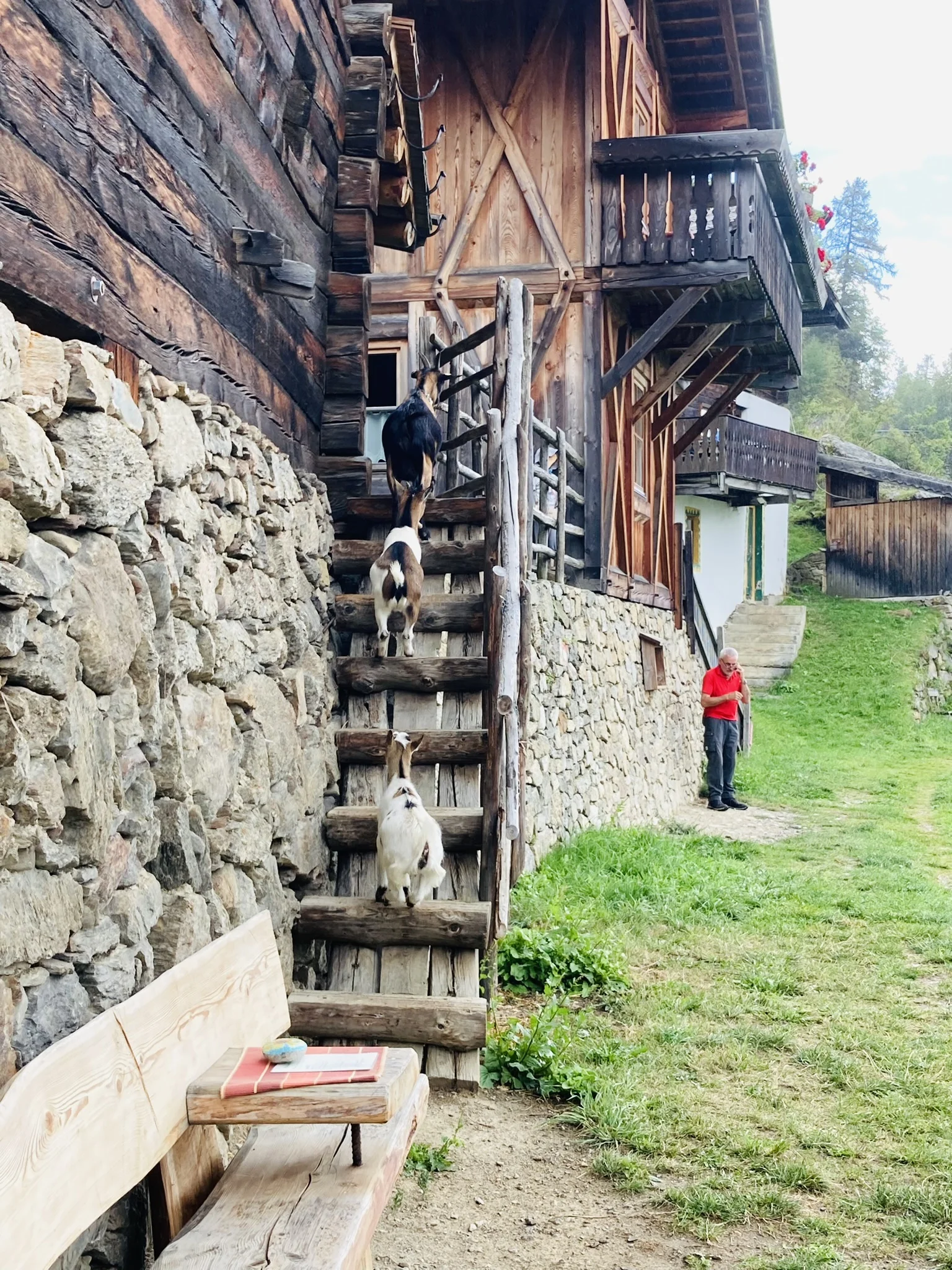 Wanderwoche im Schnalstal | © Killesreiter Marlene