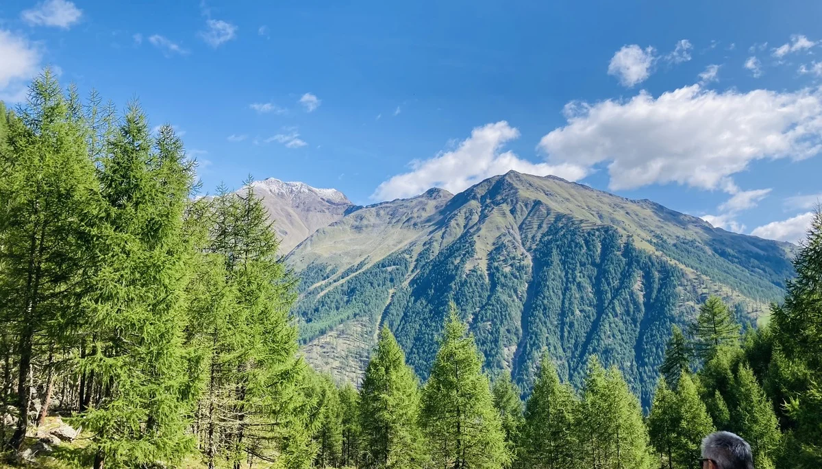 Wanderwoche im Schnalstal | © Killesreiter Marlene