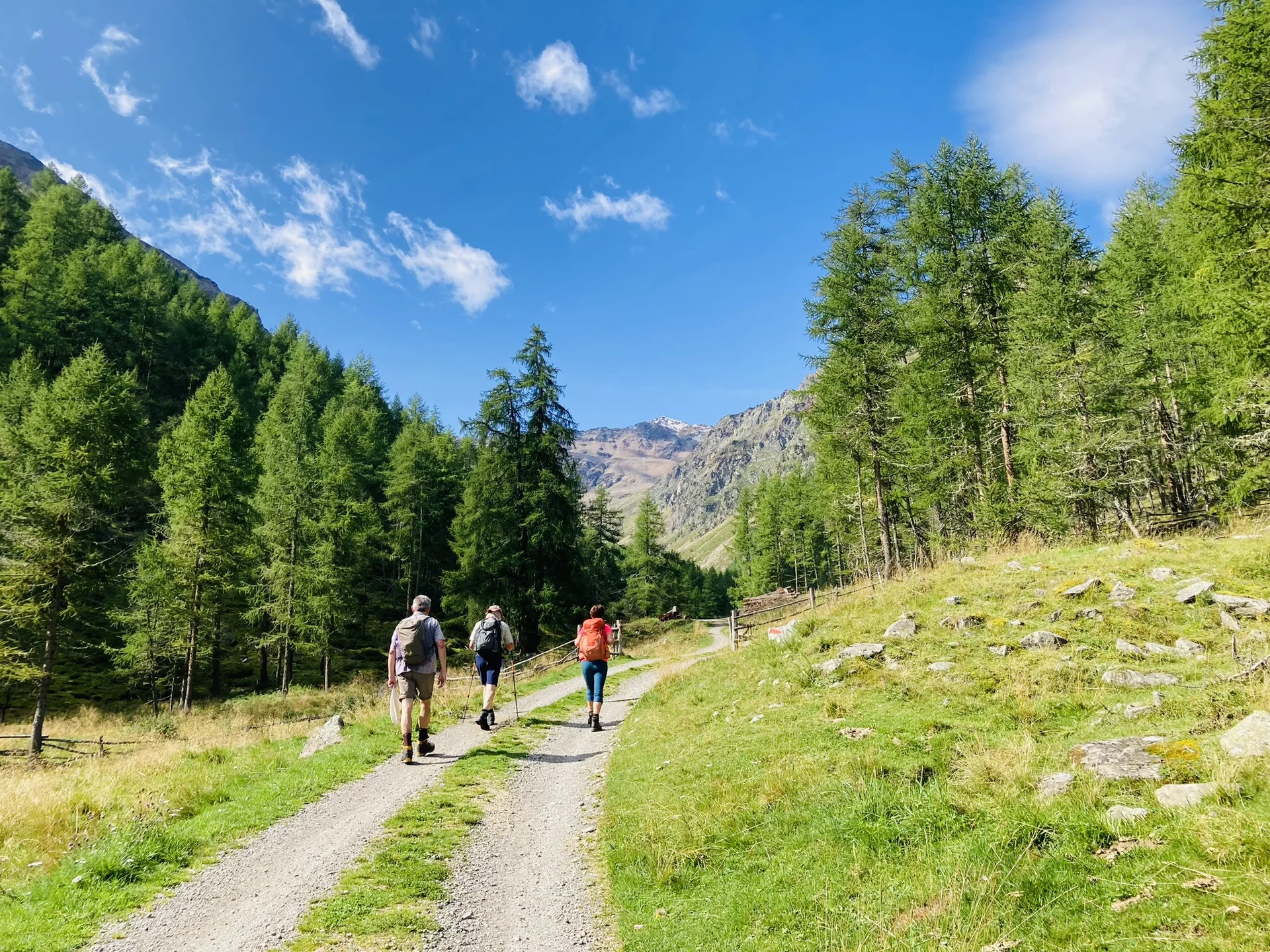 Wanderwoche im Schnalstal | © Killesreiter Marlene