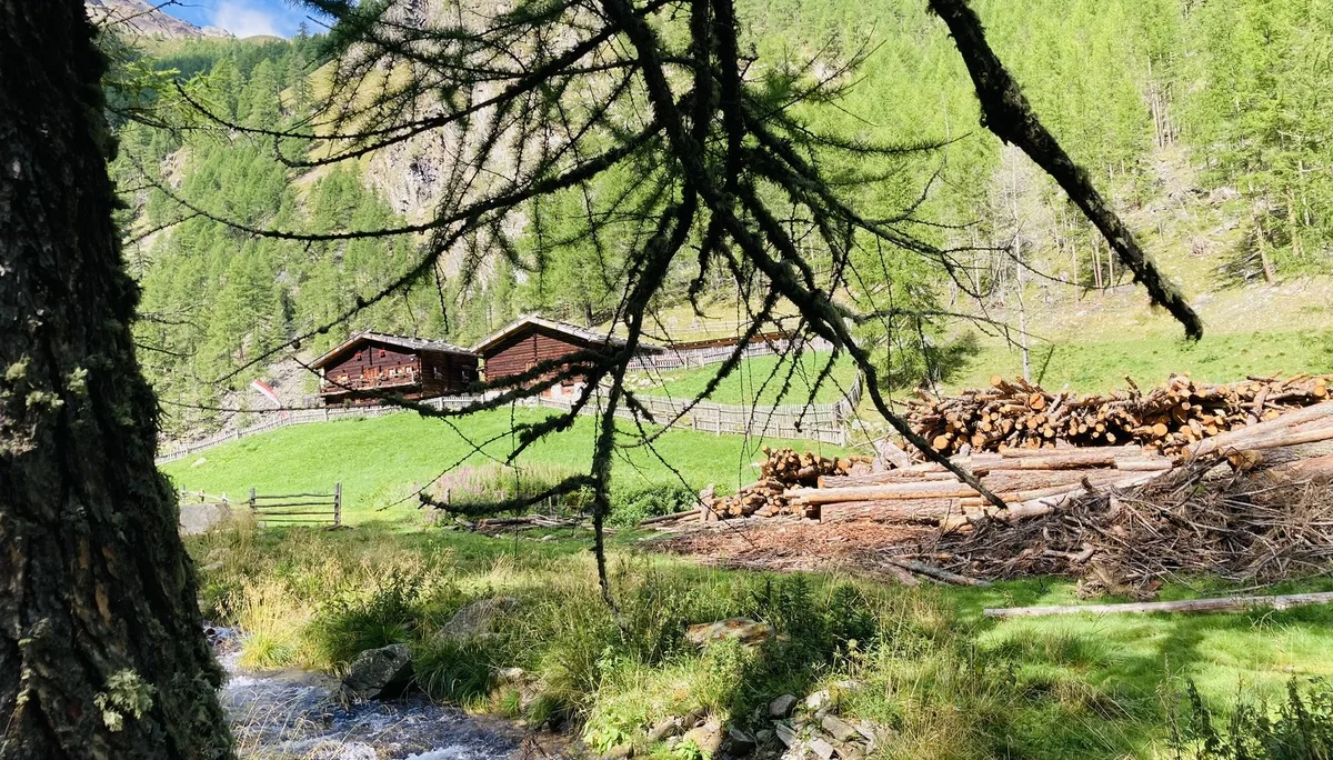 Wanderwoche im Schnalstal | © Killesreiter Marlene