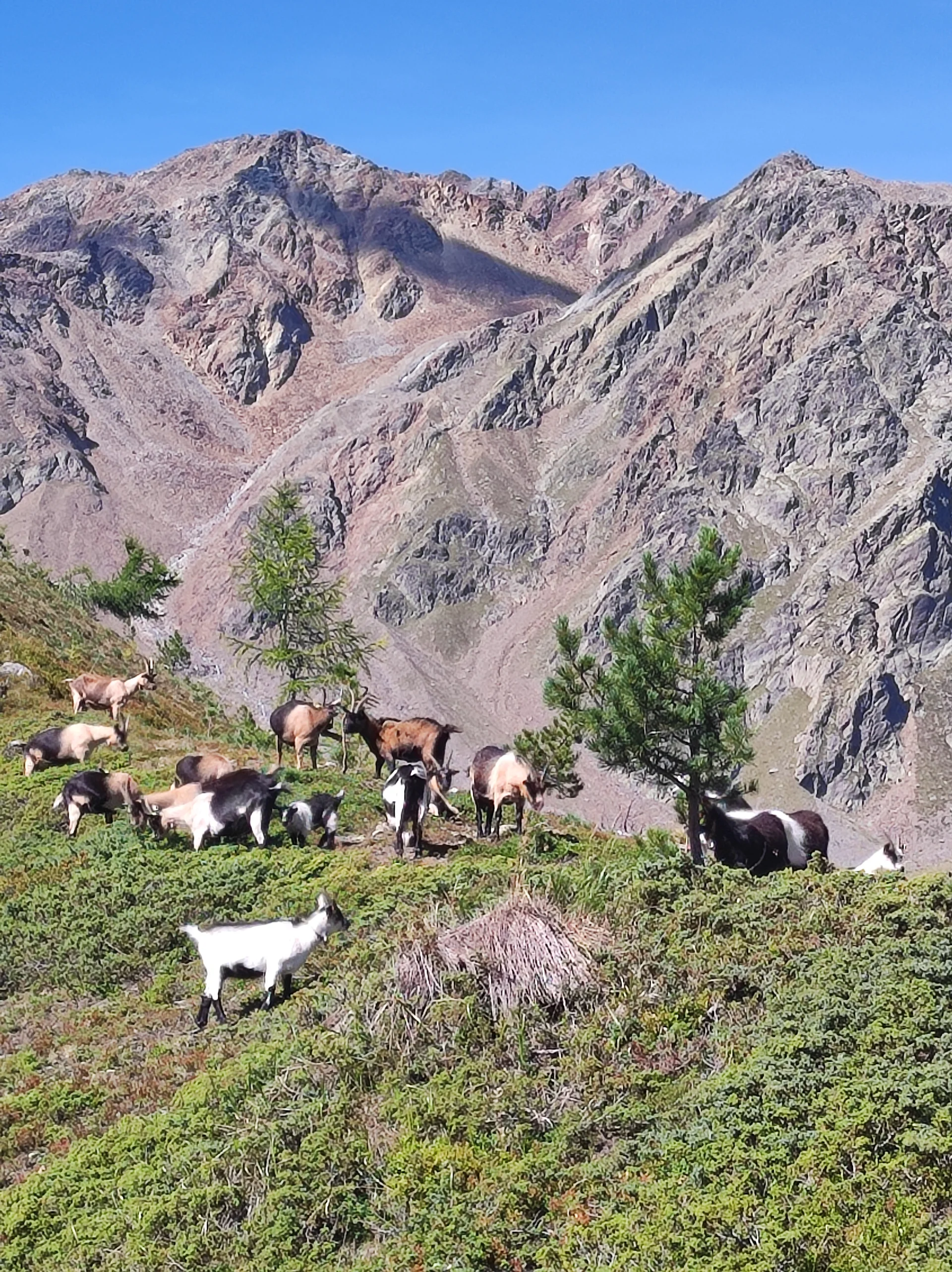 Wanderwoche im Schnalstal | © Killesreiter Marlene