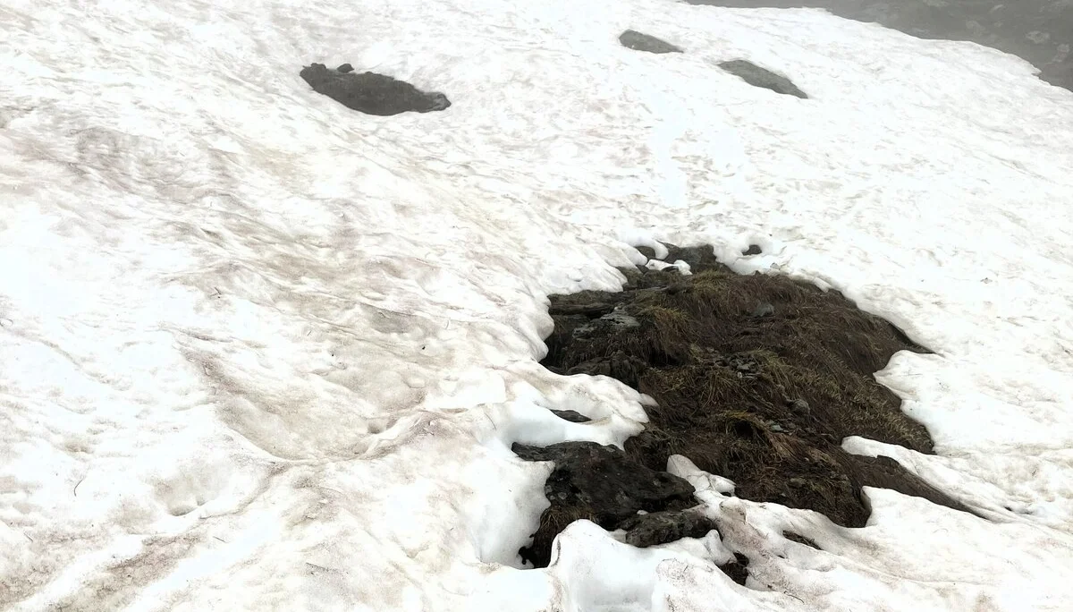 Bamberger Hütte | © Schneider Susanne